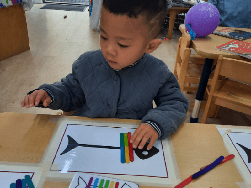 A preschool child sitting at a table sorting colours and shapes in order